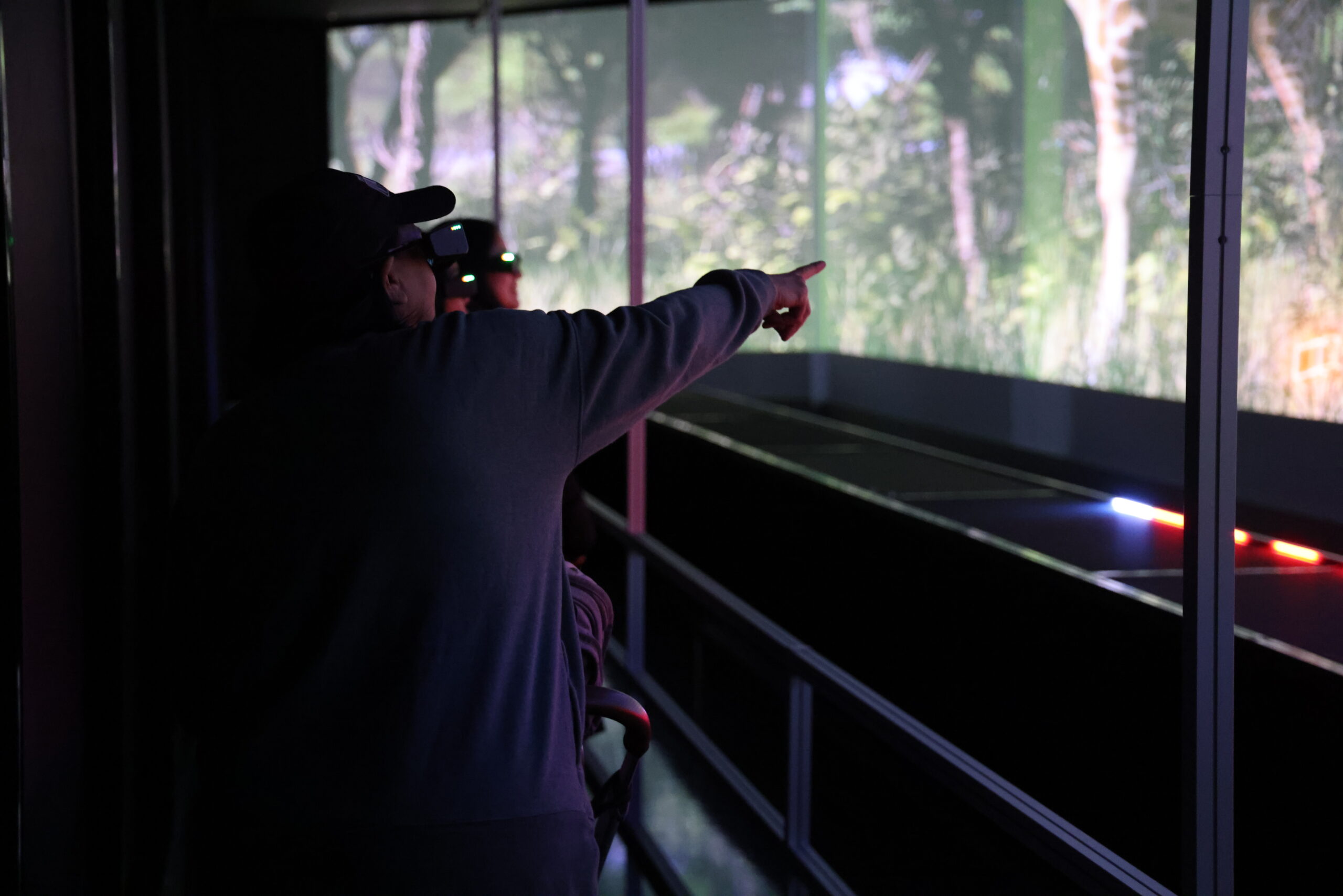 Foundations and senior groups at Hologram Zoo Illinois — accessible hologram experiences