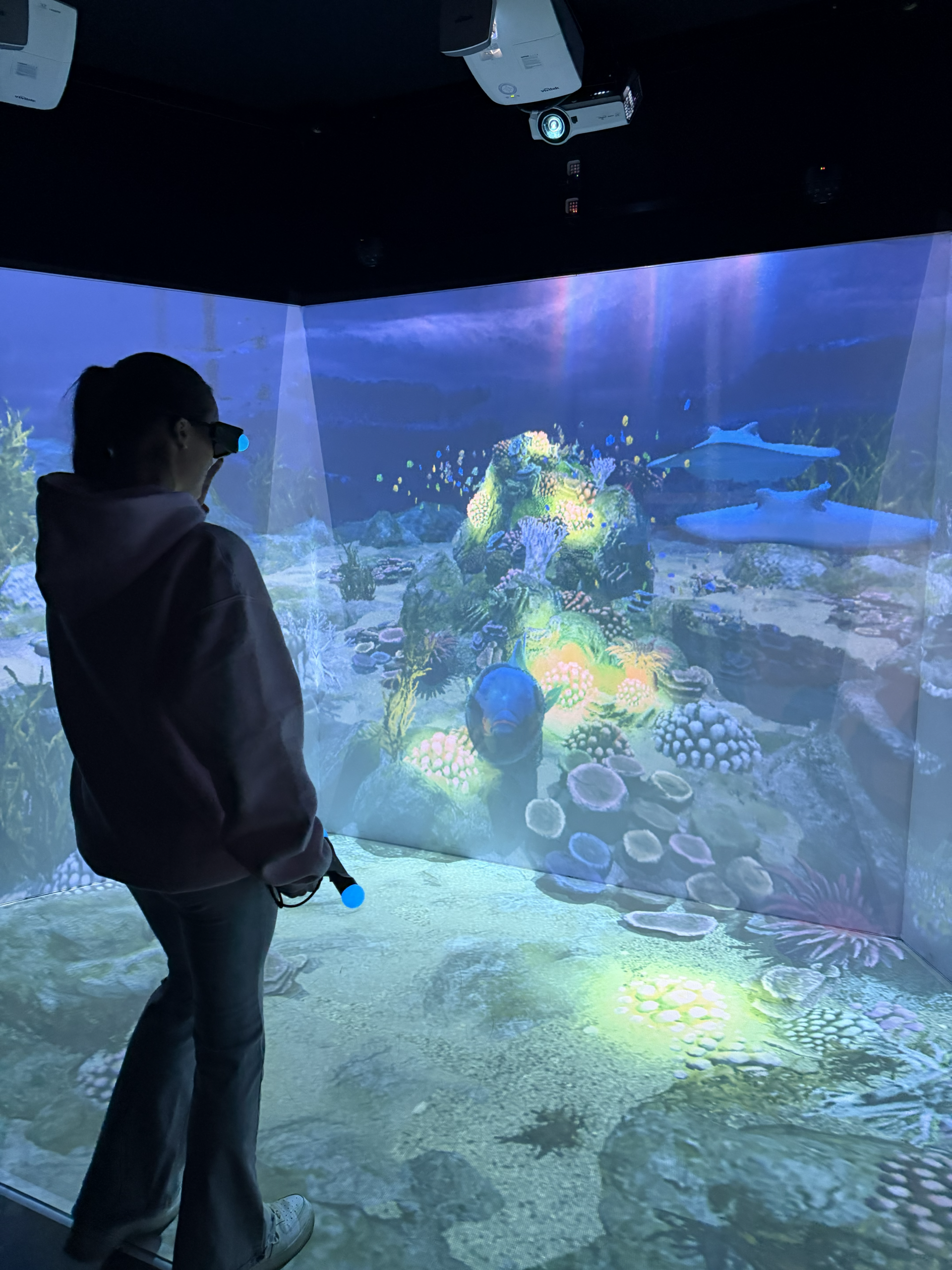 Aquarium HoloRoom with whales and bioluminescent fish — Hologram Zoo Vernon Hills IL